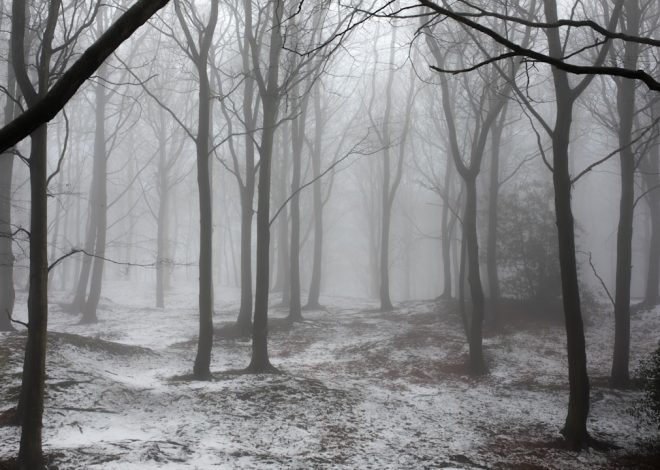 Spooky Halloween Backdrop: Creating a Haunting Atmosphere