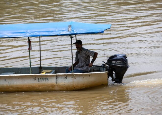 Biodiversity Travel: Exploring Natural Habitats Responsibly